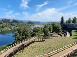 Castle of Monção