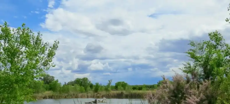 Hotels in Valencia County