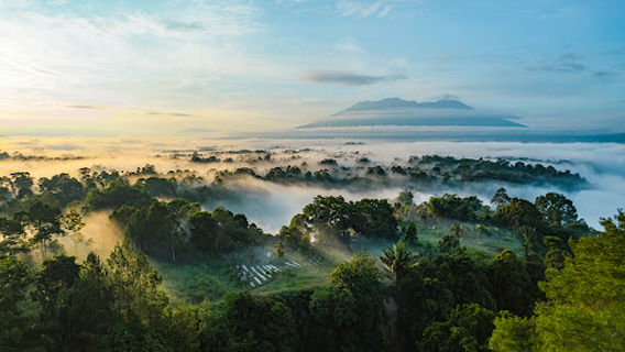 Panorama Baru
