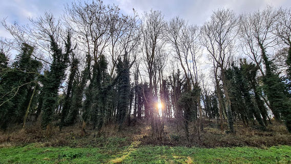 Ringstead Downs