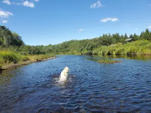 Musquodoboit Valley Provincial Park
