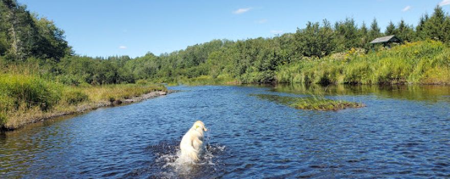 Musquodoboit Valley Provincial Park