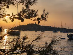 Beach Porat