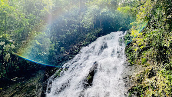 Samana