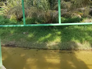 Sungai Emas Petapahan Elok