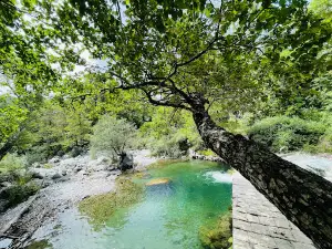 Parco Avventura Pollino