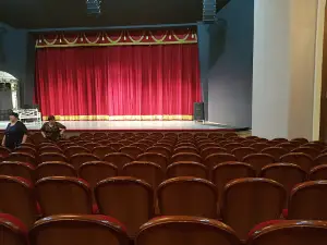 Musical comedy theater