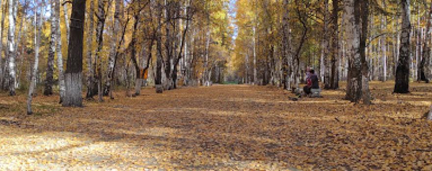 Gorodskoy Park Kul'tury I Otdykha