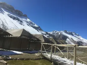 Jalpa Camp & Tour Organizer