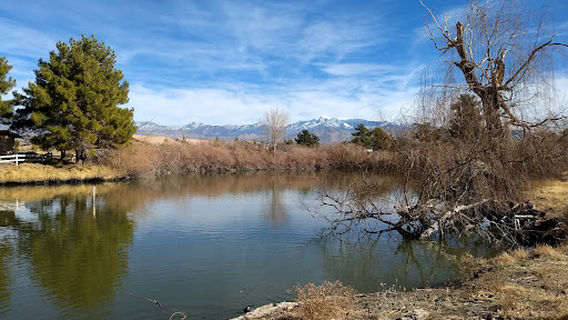 Discovery Park