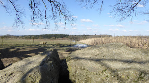 Dolmen d'Oppagne
