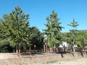 Botánico y Recreativo de Valparaiso Park