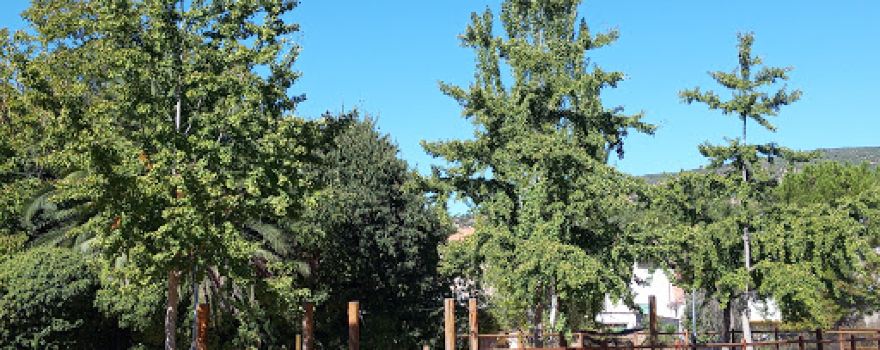 Botánico y Recreativo de Valparaiso Park