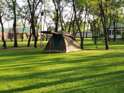 Twiga Campsite & Lodge