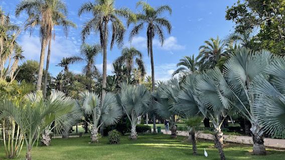 Botanical Garden