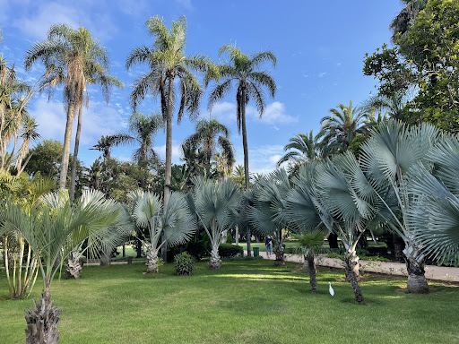 Botanical Garden