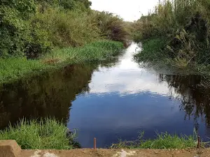 Pontoon Campsite