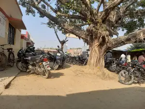Seorai Tahsil