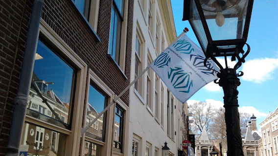 Galerie Zône: toegepaste kunst, beeldende kunst en vormgeving