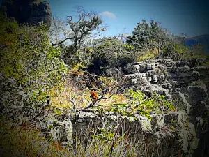 Miradores del Valle de Tucavaca