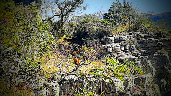 Miradores del Valle de Tucabaca