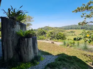 Cedar Gallery