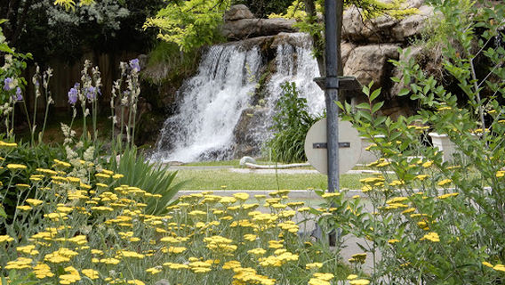 Johnson's Park Miniature Golf