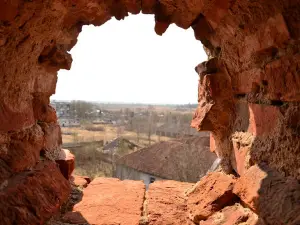 Психиатрическая больница Алленберг