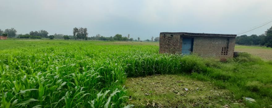Shiv Temple sasana