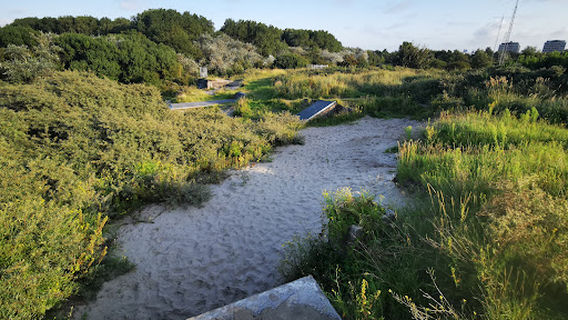 Zuid-Hollands Landschap