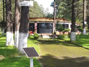 Comunal Tata vasco Park