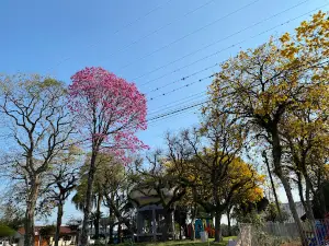Praça De Condor