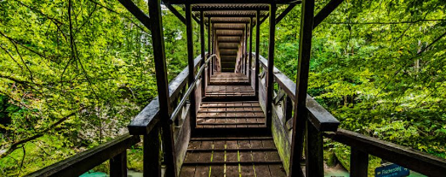Erlaufschlucht Fischersteig