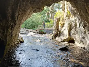 Pınargözü Günibirlik Piknik Alanı