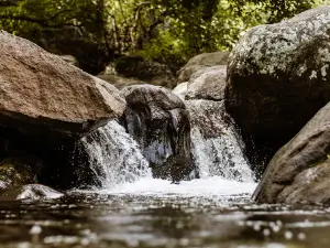 Kurangani Hills Trekking