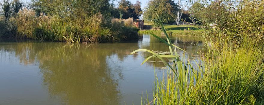B Jays fishery