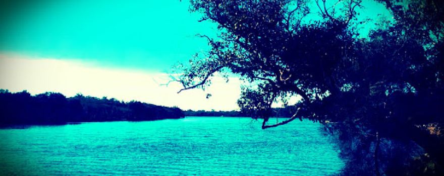 Watson Reserve
