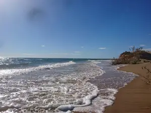 Pelican Point Reserve