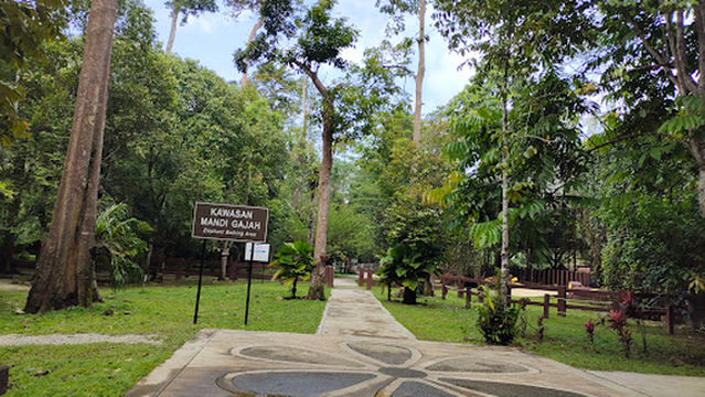 Tengku Hassanal Wildlife Reserve