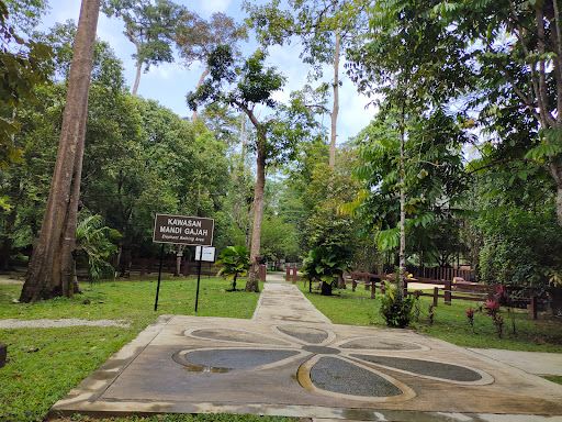 Tengku Hassanal Wildlife Reserve