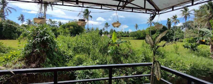 Maribeth's Garden