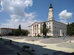 Park Kultury Ta Vidpochynku
