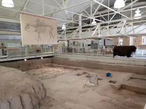 Hudson - Meng Bison Bonebed