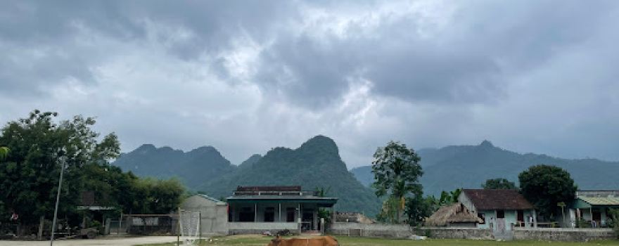 Sân Bóng Lùm Nưa