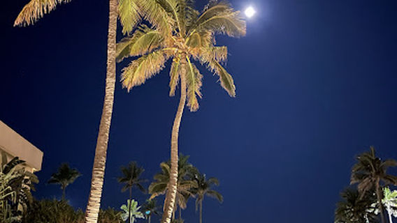 Lifeguard Tower 41 (Sheraton)