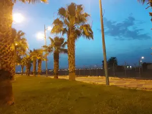 Northern Airport Park