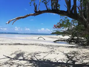 Playa Calolima