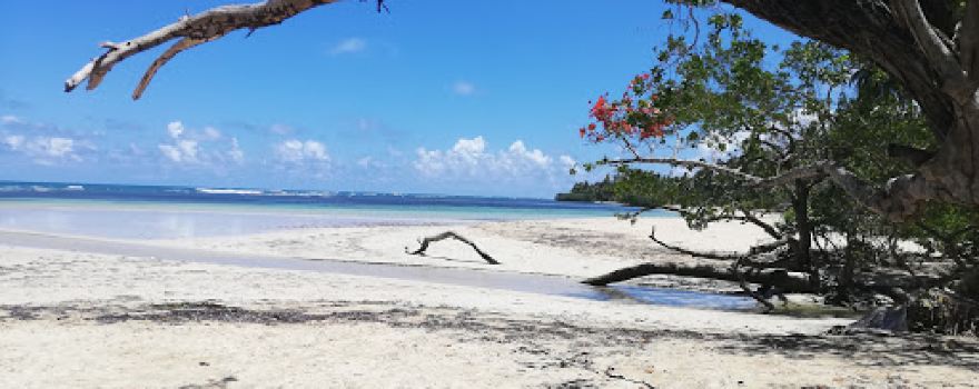 Playa Calolima
