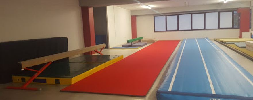 Palestra Vigor