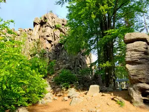 Sokolik Duży
